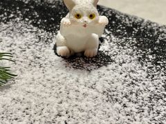 -北京全聚德(王府井店)