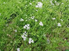 -柞水乾佑红门家菜