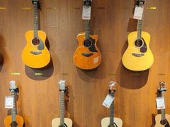 -知音艺术教育培训·钢琴培训·音乐培训(河西金鹰世界校区)