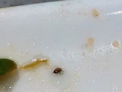 -半天妖烤鱼(丰科万达店)