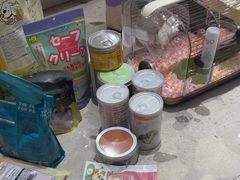 -FAELING PETS美天灵宠物(合生汇店)