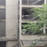魔都后花园网红最美商场