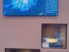 -陕西自然博物馆