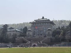 -武汉大学-樱园