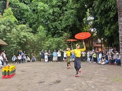 -云南民族村