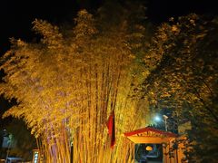 -栾川竹海野生动物园