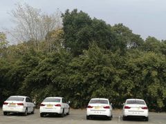-胜华驾校·小猫学车(银都店)