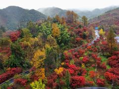 -四明山国家森林公园