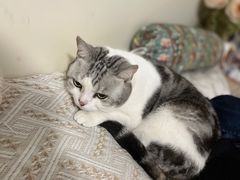 -爱诺耐芙动物医院(万博店)