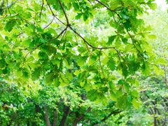 -白草畔自然风景区