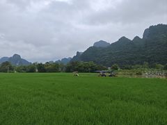 -明仕田园