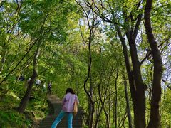 -紫金山山顶公园