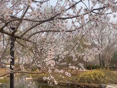 -燕郊植物园