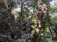 -广州兰圃