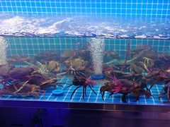 -徐记小怪兽肉蟹煲店(哈西万达金街店)