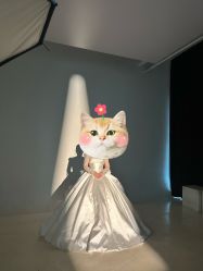 -金夫人婚纱摄影(总店)