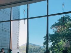 靠窗位-顺德美的万豪酒店-万豪中餐厅