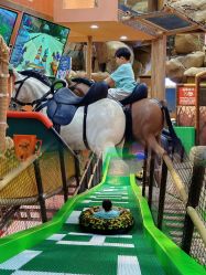 -卡通尼·Safari非洲探索乐园·生日会(金桥国际商业广场店)