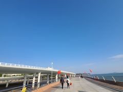 -演武大桥观景平台