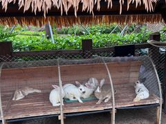 -珠海海泉湾神秘岛亲子乐园