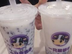 -一只酸奶牛(东方广场店)