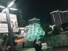 -上海小南国(国会店)