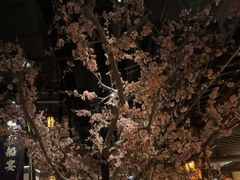 -绿茶餐厅(朝阳大悦城店)