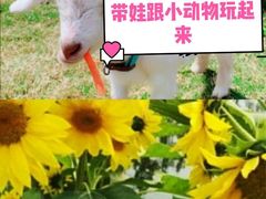 -前小桔亲子创意农场·草莓采摘·露营烧烤