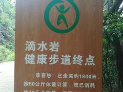 -滴水岩森林公园