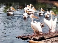 -沈阳森林动物园