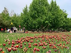 -长春公园(普阳街道)