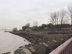 -上海滨江森林公园