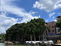 -长洲岛