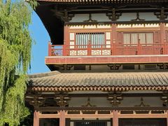 -西安乐游原