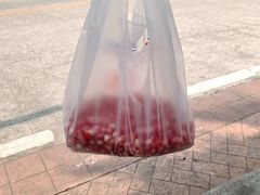 -南沙十九涌渔人码头-南门