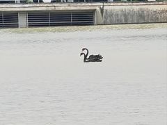 -厦门国家会计学院