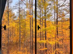 -莫尔道嘎国家森林公园