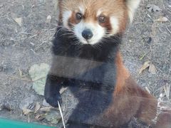 -郑州市动物园