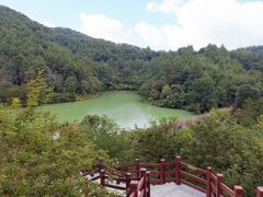 -广州白江湖森林公园