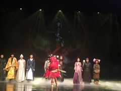 -合肥大剧院