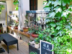 露天位-猫色咖啡·猫咖