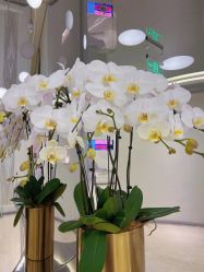 点击看大图 -明潪Selfology升维护理中心