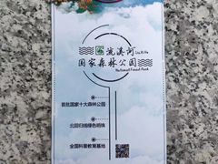 -广州市流溪河国家森林公园