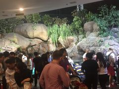 -上海海洋水族馆