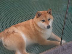 -南昌动物园