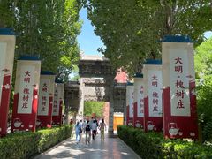 -大槐树寻根祭祖园