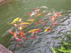 -上海虹桥宾馆味翠餐厅