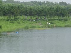 -丁香湖公园