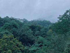 -青城山