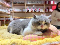 -UPUPKAFE  立咖啡(浏城桥店)